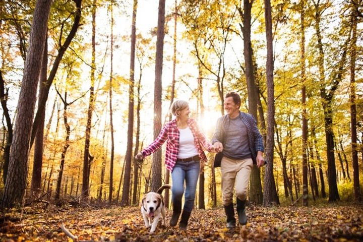 featured-image